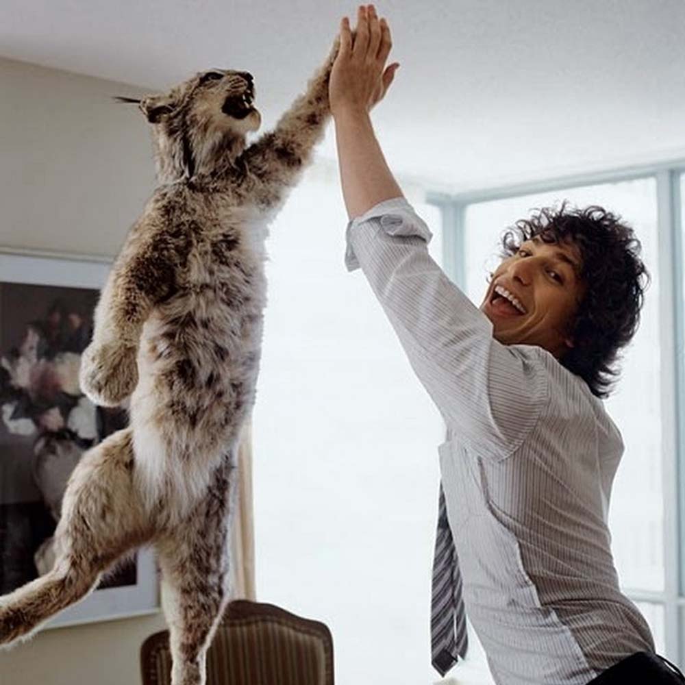 Funny-Celebration-With-Cat